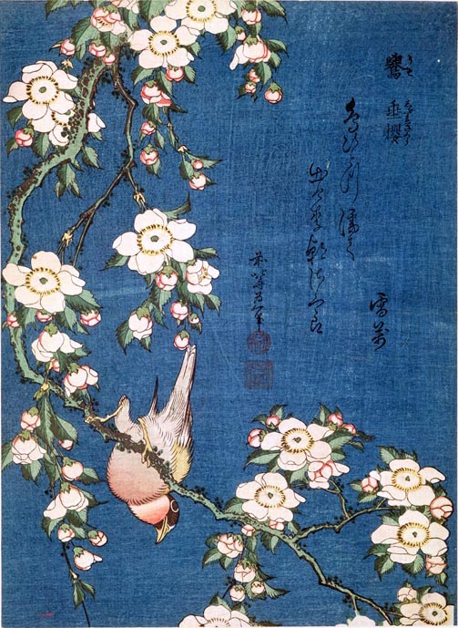 BL7129 Bullfinch on a branch of a weeping cherry, pub. c.1840, (colour woodblock print) by Hokusai, Katsushika (1760-1849); British Library, London, UK; ﾂｩ British Library Board. All Rights Reserved; PERMISSION REQUIRED FOR NON EDITORIAL USAGE; Japanese,  out of copyright PLEASE NOTE: The Bridgeman Art Library works with the owner of this image to clear permission. If you wish to reproduce this image, please inform us so we can clear permission for you.