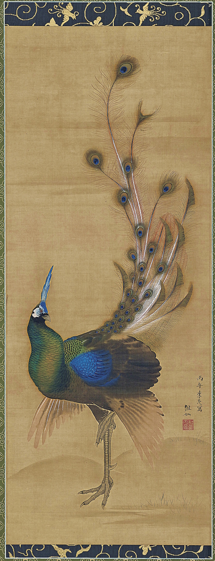 江戸時代絵画の画題でもあった神秘の鳥「孔雀」から生まれたハイ