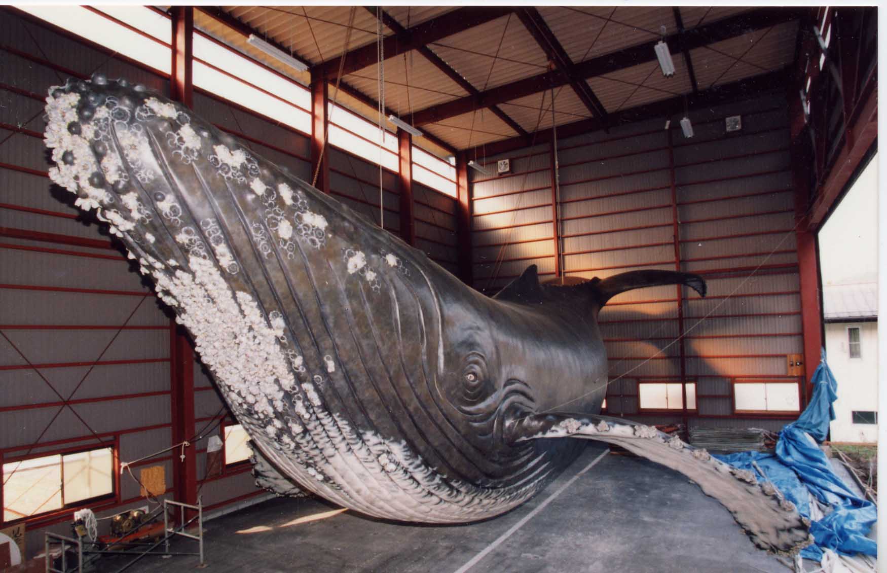巨大なクジラの模型