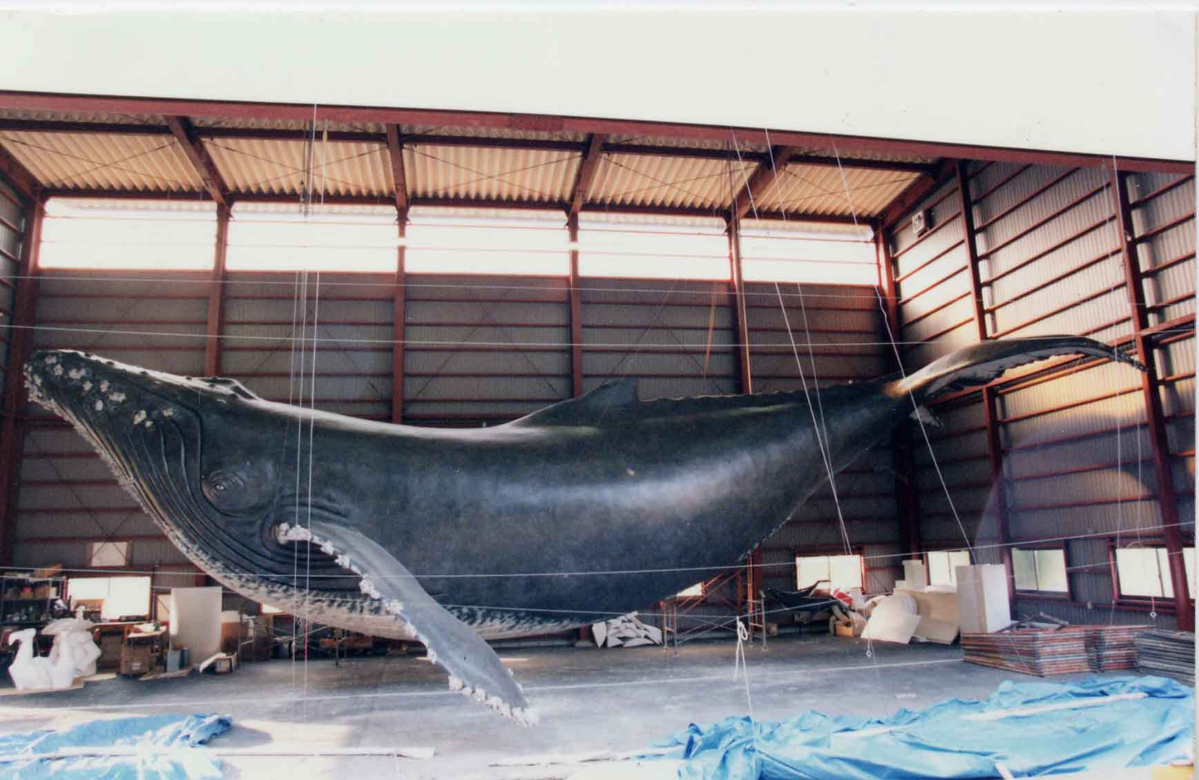 巨大なクジラの模型