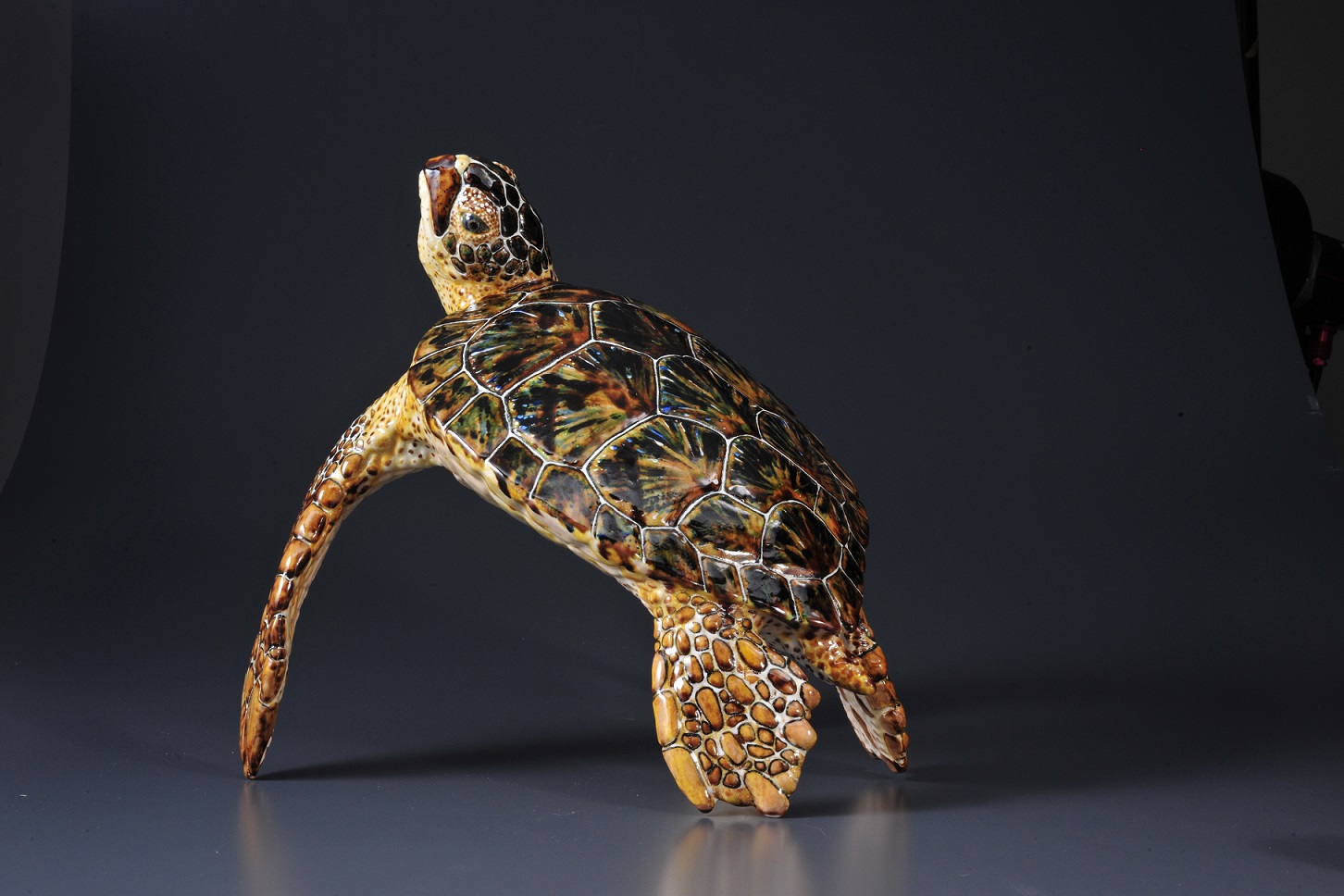 陶芸家・今井完眞さんがつくる海洋生物がリアルすぎる！制作への 