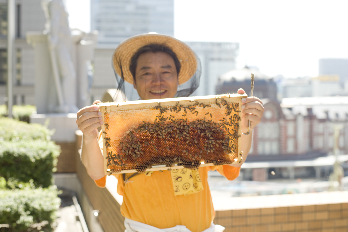 銀座はミツバチの暮らしやすい街!?静かにbuzzってる「都市養蜂」の現場に潜入してみた！ ｜ 和樂web 日本文化の入り口マガジン