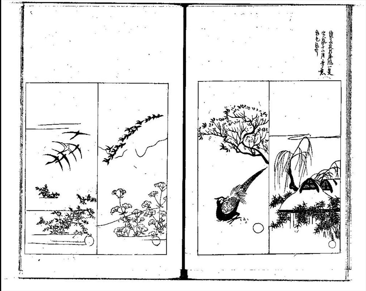 酒井抱一『十二ヶ月花鳥図』に憧れて！美術好きな私が「私淑」してみた 
