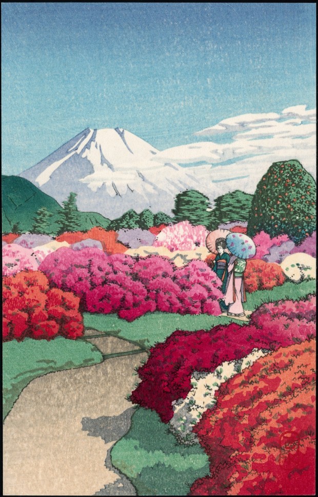 ツツジが見ごろ‼ 色とりどりの花々とアートに心癒される 5月の箱根へ‼