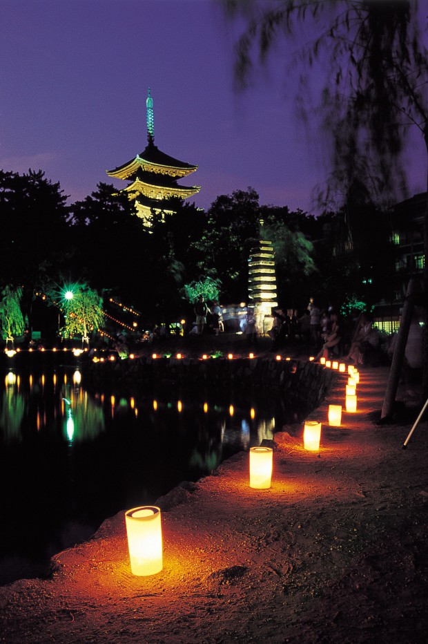 奈良の世界遺産がろうそくの炎に揺れる夏の夜の夢幻「なら燈花会」