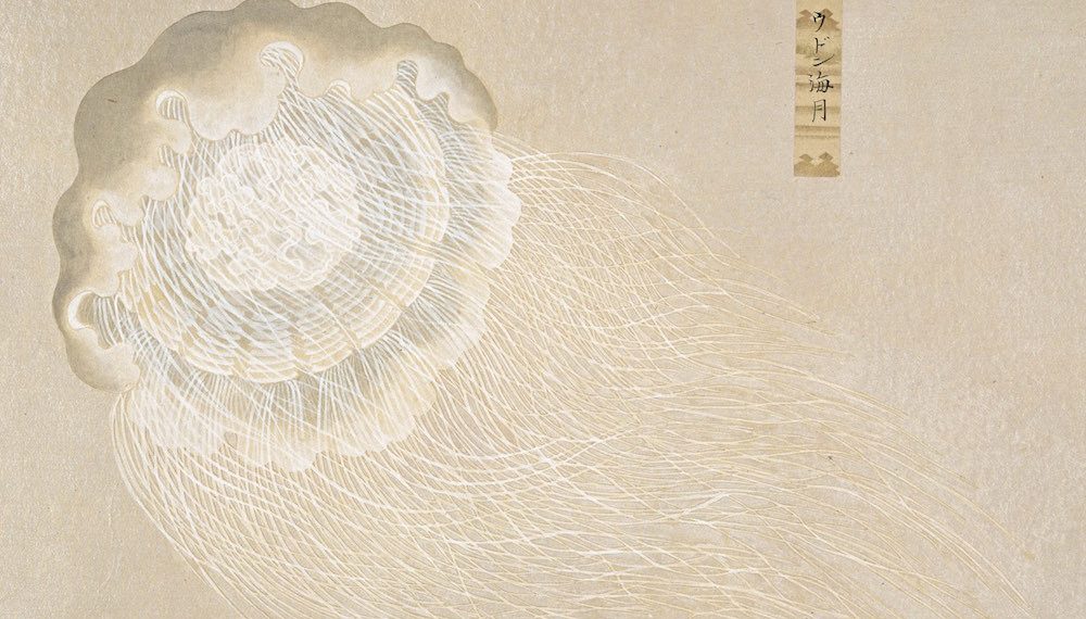 若冲も、雪舟も！超絶技巧にびっくり！日本美術究極のベスト7