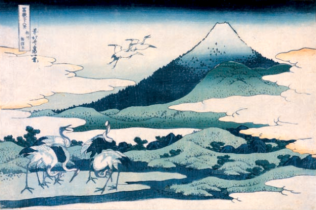 Umezawa_Hokusai