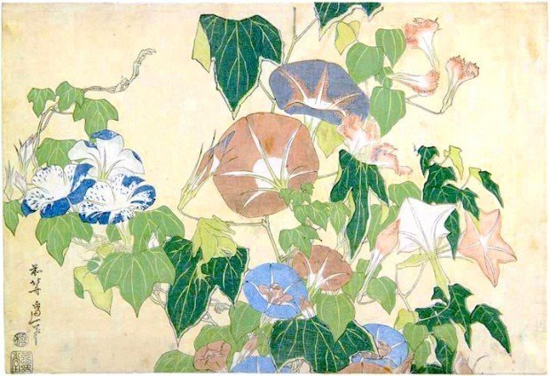 hokusai_morning_glory-1-620x424