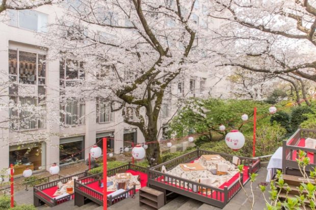 品川の日本庭園でお花見弁当&桜スイーツを堪能「高輪 桜まつり2019」