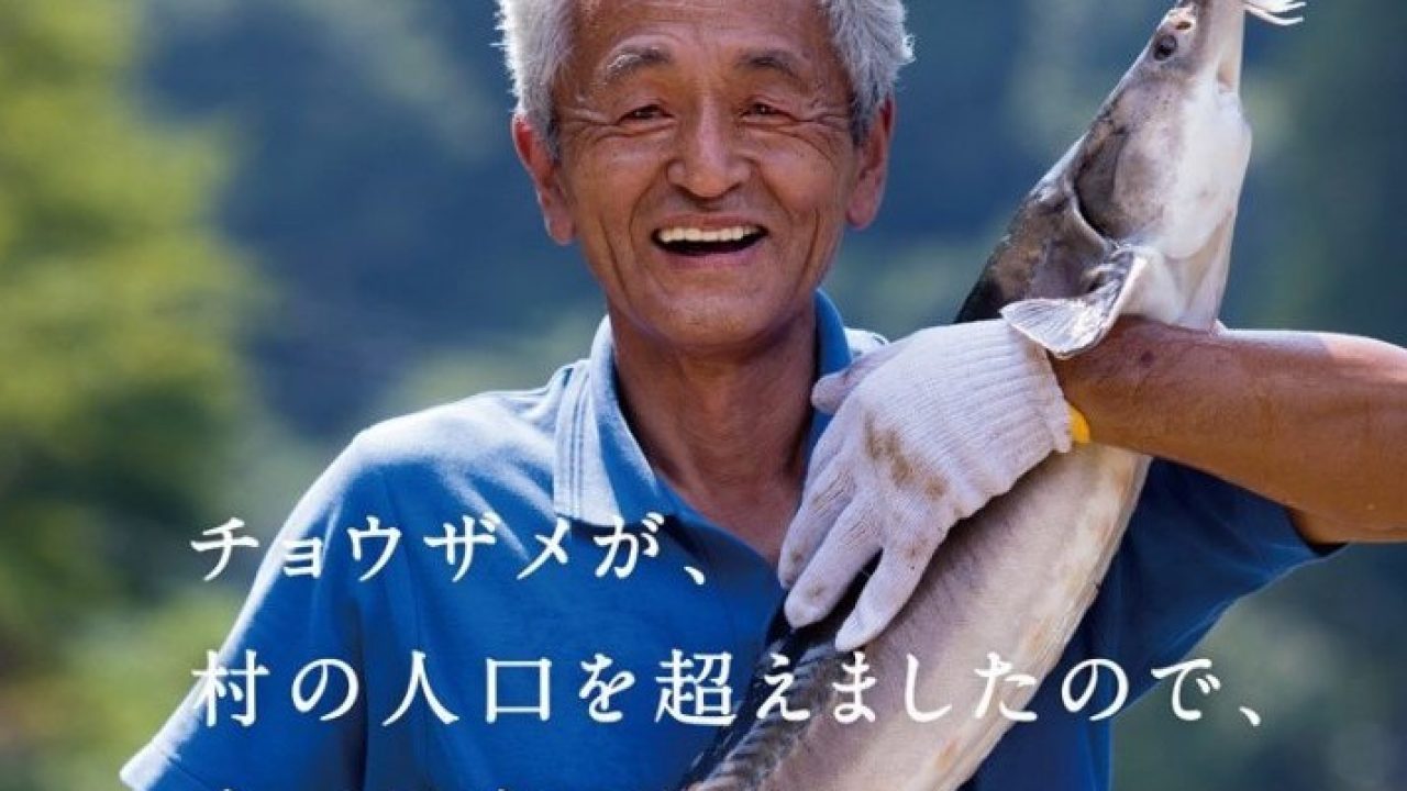キャビア作ろうぜ 驚きの働き方改革 愛知県豊根村のチョウザメ養殖物語 和樂web 日本文化の入り口マガジン