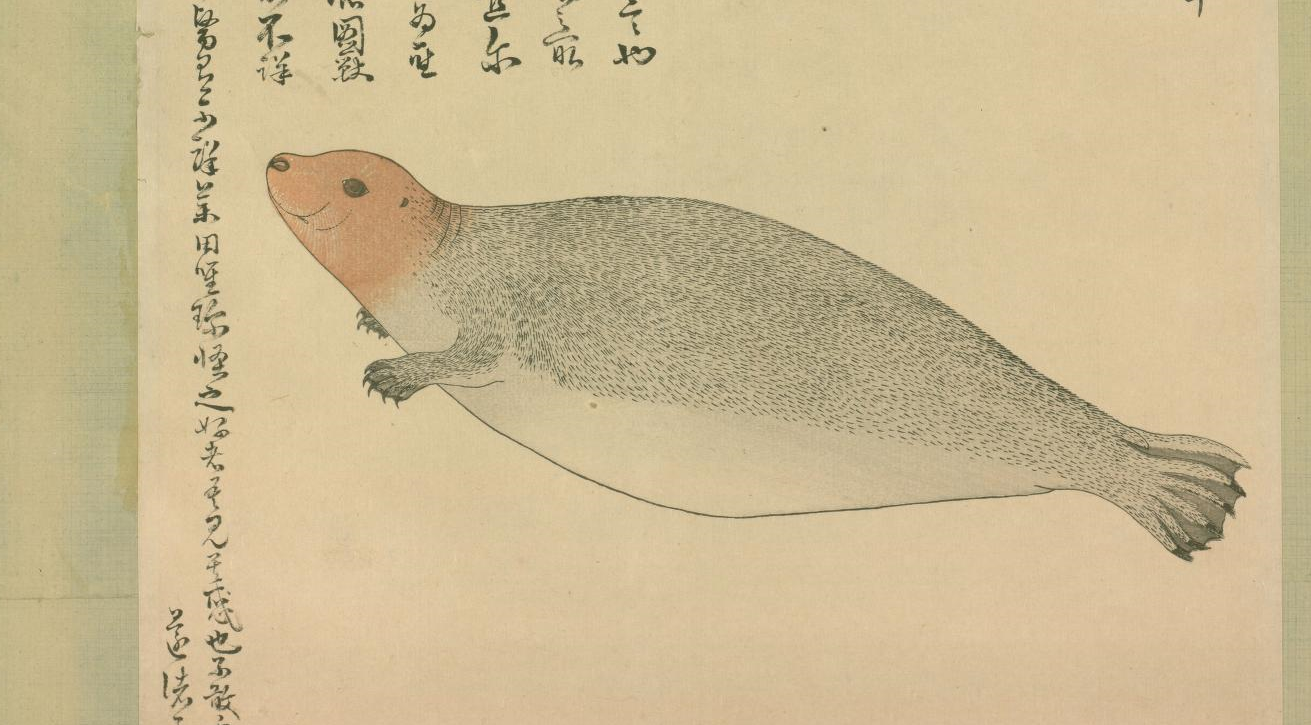 熱田の海沿いに現れたタマちゃん 江戸時代に描かれた動物の絵がユルくてかわいい 和樂web 日本文化の入り口マガジン