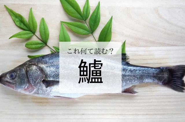 鱸 ってなんて読む 平家物語にも登場する縁起のいいお魚 和樂web 日本文化の入り口マガジン